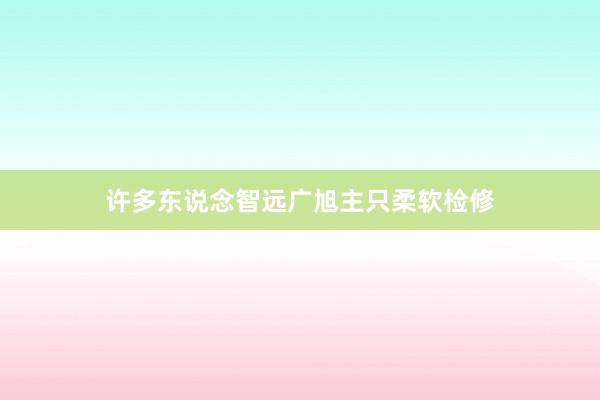许多东说念智远广旭主只柔软检修